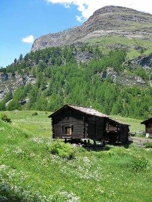 Zermatt. View from the Trail from Furi