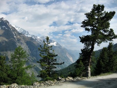 Zermatt. Trail from Sunnegga to Tufteren