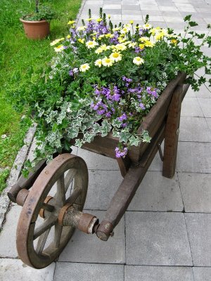 Little Garden in Kandersteg (Berner Oberland)