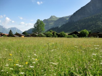 Kandersteg (Berner Oberland)