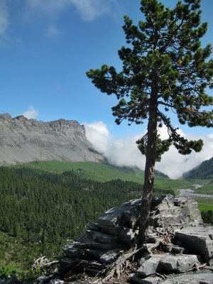 Kandersteg. Spittelmatte Plain