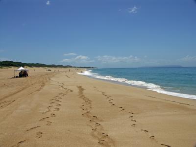 Barking sands (Polihale) beach