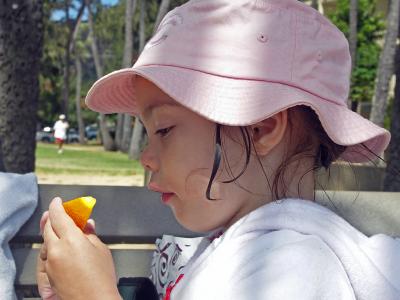 Oranges are yummy