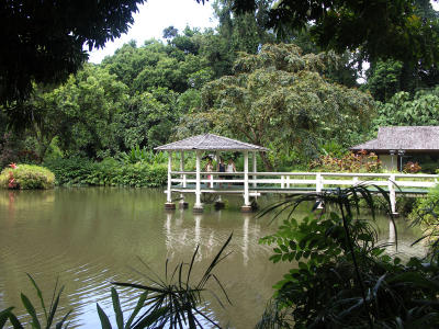 Haiku pond