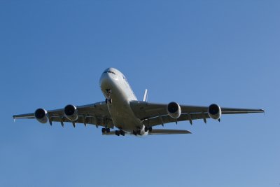 g4/47/963847/3/134590795.TYQFctC7.jpg