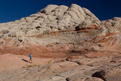 Contemplation - White Pocket, Vermillon Cliffs, Arizona