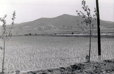 g4/47/981847/3/133096375.BUHXAUIr.jpg