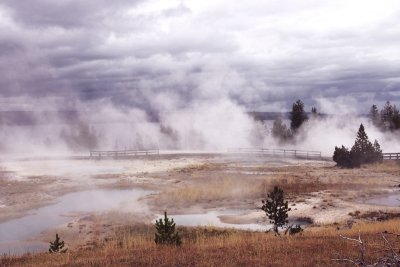 Yellowstone