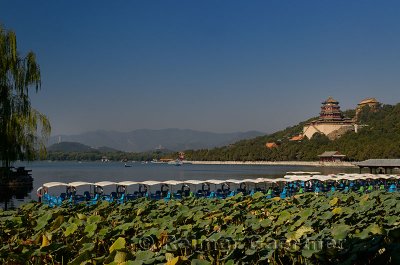Paddle boats and lotus plants on Kunming Lake with Buddhist Fragrance Temple at Summer Palace Beijing