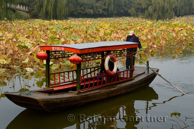 Hand Oar River boat on Lotus Lake Zizhuyuan Purple Bamboo Park Beijing