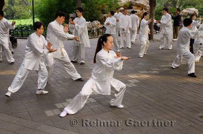 Tai Chi class practicing moves under trees in Zizhuyuan Purple Bamboo Park in Beijing China