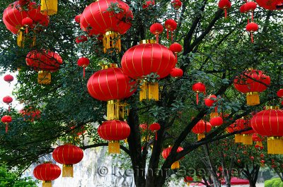 Red National Day lanterns in trees at Elephant Trunk Hill Park on Li River Guilin China