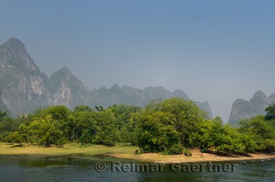 Water Buffalo grazing on Li River Guangxi province China with karst limestone peaks