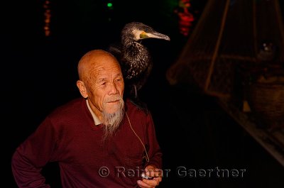 Chinese fisherman with a trained Great Cormorant on the shoulder at night on the Lijiang river in Yangshuo China
