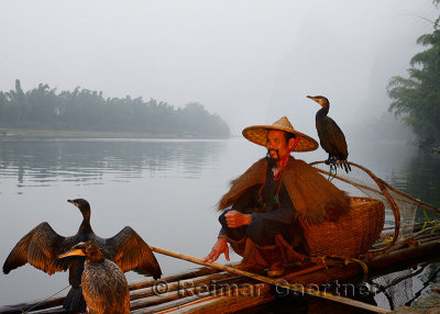Cormorant fisherman with birds on a bamboo raft on the Li river with Karst mountain peaks Huangbutan China