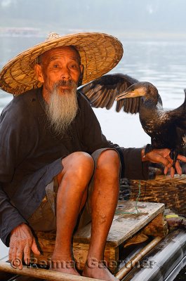 Cormorant fisherman holding bird on a bamboo raft on the Li river Huangbutan China