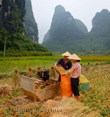 Husband and wife bagging rice with karst limestone peaks near Yangshuo China