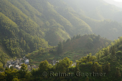 Mountain village of Dongchong with tea plantation near Feng Le Lake Huangshan China