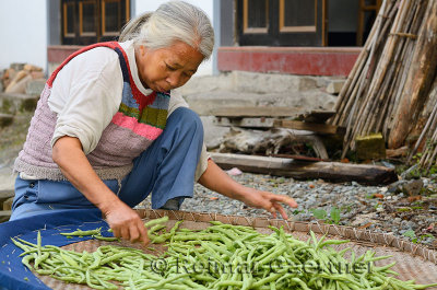 Elderly woman trimming beans in Shangshe village on Fengle lake Huangshan China