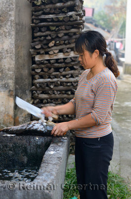 Woman scaling a freshly harvested fish with a cleaver in Shangshe village on Fengle Lake Huangshan China