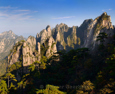 Pine trees at The Eighteen Arhats Worshipping at South Sea and Camel Back Peak at Yellow Mountain Huangshan China