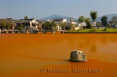 Bright red Euglena algae scum surrounding rock in Longxi river with stone bridge in Chengkan village China