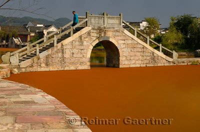 Man walking over stone bridge with bright red algae scum on Longxi river in Chengkan village China