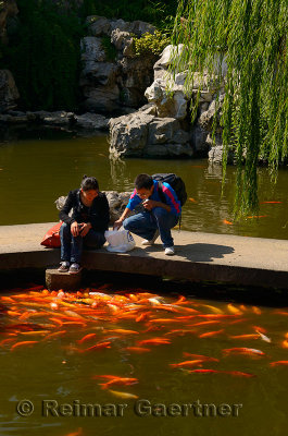 Two Chinese tourists feeding orange Koi in a pond at Yuyuang Gardens Shanghai China