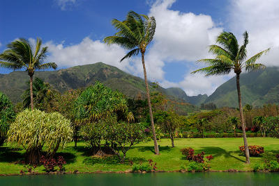 84 Maui Tropical Plantation 2.jpg