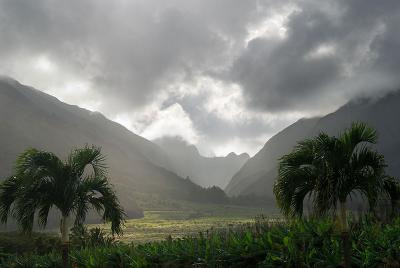 84 Maui Tropical Plantation 4.jpg