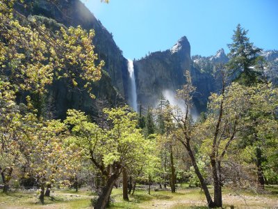Bridel Vail in Yosemite .jpg