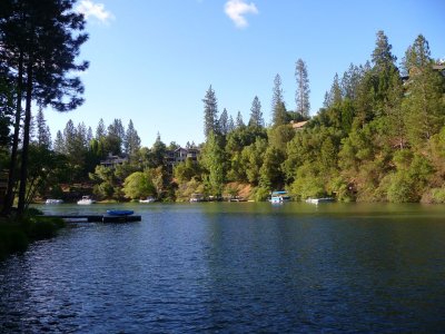 View of the lake behind our cabin .jpg