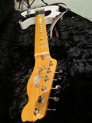 tele neck web.jpg