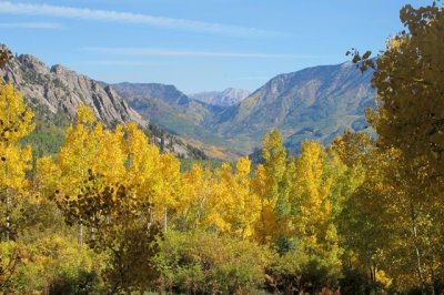 IMG_1117.jpg