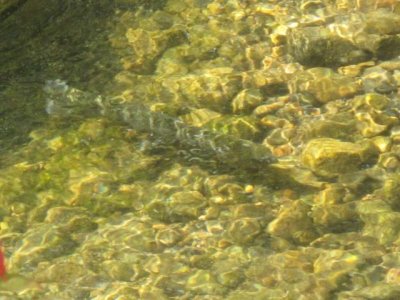 IMG_1016.jpg