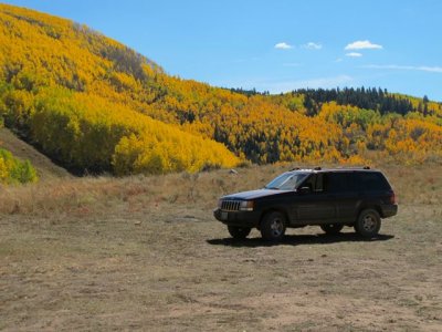 IMG_1179.jpg