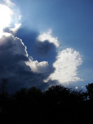 August 9, 2008Cloudshadow