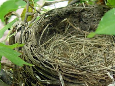 June 1, 2006Leaving the Nest