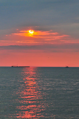 DMD_5175.jpg