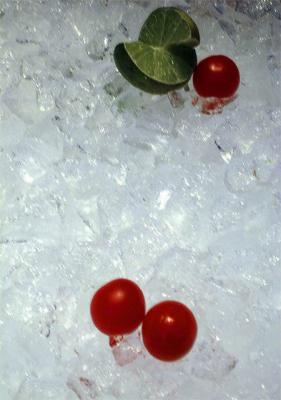 Lemon and Tomatoes on Ice