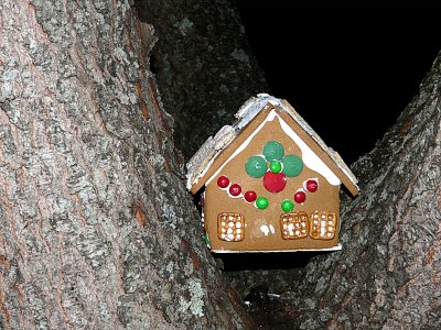 Tree House ~ January 28th