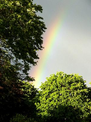 May 25th ~ the rainbow