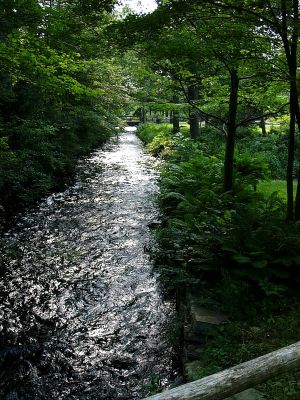 Water Way ~ July 9th