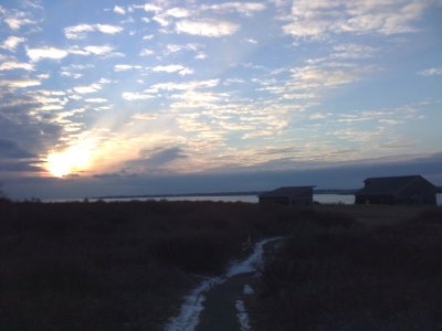 winter beach