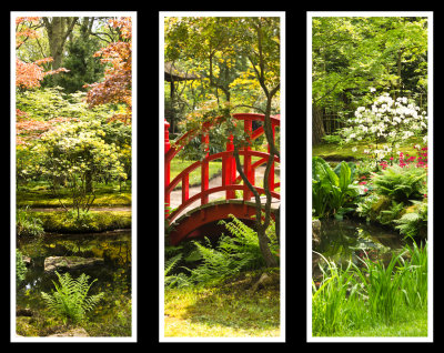 Japanese+garden.jpg