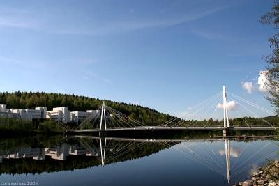 Jyvaskyla science campus and pedestrian bridge