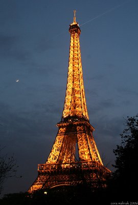 IMG_5183001.jpg
