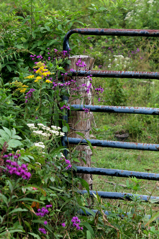 Rusty Gate