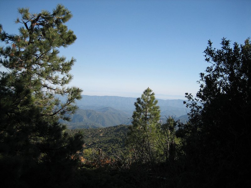 looking no. from BPM to Sierra Madre Range 6-06 by Joan.jpg