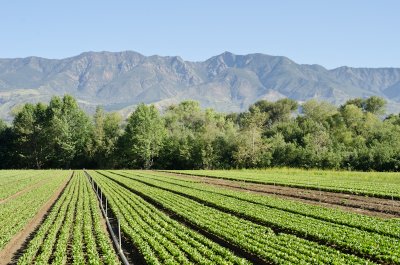 Chap. 9-14, Agriculture/Land Preserve